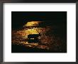 A Bull Elk Crosses A River In Which The Yellowstone Fire Of 1988 Is Reflected by Michael S. Quinton Limited Edition Print