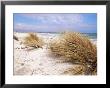 Bales Beach, Seal Bay Con. Park, Kangaroo Island, South Australia, Australia by Neale Clarke Limited Edition Print