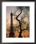 Sunset Over The Jardin Des Tuileries And Eiffel Tower, Paris, Ile-De-France, France by Martin Moos Limited Edition Print