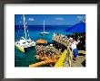 Catamarans Moored Outside Margaritaville Pub And Restaurant, Montego Bay, Jamaica by Richard Cummins Limited Edition Print