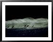 Bottlenose Dolphins, Jumping, South Africa by Tobias Bernhard Limited Edition Print
