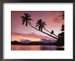 Man, Palm Trees, And Bather Silhouetted At Sunrise by Mark Cosslett Limited Edition Print