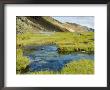 Hot Springs, Landmannalaugar, Iceland, Polar Regions by Ethel Davies Limited Edition Pricing Art Print
