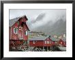 Seagulls Nesting On A Warehouse, Moskenesoya, Lofoten Islands, Norway, Scandinavia by Gary Cook Limited Edition Print
