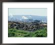 Smoking Sawmill And Stacked Logs by Rich Reid Limited Edition Pricing Art Print