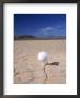 Golf Ball And Tee by Thomas Winz Limited Edition Print