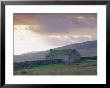 Farm Building, Swaledale, Yorkshire Dales National Park, Yorkshire, England, Uk, Europe by Mark Mawson Limited Edition Print