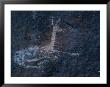 A Cave Painting Of A Rhebok In The Drakensberg Range by Kenneth Garrett Limited Edition Pricing Art Print