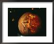 Jack-O-Lantern With An Ornate Carved Decoration Of A Witch by Richard Nowitz Limited Edition Print