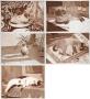 Les 5 Chats by Bernard Galland Limited Edition Print