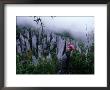 Person Taking Photograph In The Limestone Forest, Gunung Mulu National Park, Malaysia by Mark Daffey Limited Edition Print