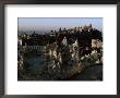 Jain Temples Of Palitana, Gujarat State, India by John Henry Claude Wilson Limited Edition Print
