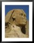View Of The Head Of The Great Sphinx At Giza by Kenneth Garrett Limited Edition Print