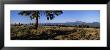 Mountain Biking On The Colorado Trail by Bill Hatcher Limited Edition Print