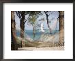Beach Hammock With Catamaran In Background, Private Island Of Le Tuessrok Resort by Holger Leue Limited Edition Pricing Art Print