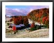 Trees In Autumn At Jenne Farm With Dusting Of Snow, South Woodstock, Woodstock, Vermont by John Elk Iii Limited Edition Print