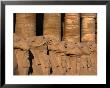 Avenue Of Ram Headed Sphinxes At Karnak Temple, Luxor, Egypt by Chris Mellor Limited Edition Print