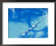 Closeup Of A Rope In A Swimming Pool by Kenneth Garrett Limited Edition Print