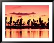 Mission Bay At Sunset, San Diego, California by Richard Cummins Limited Edition Print