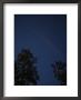 The Constellation Orion At Night by Taylor S. Kennedy Limited Edition Print