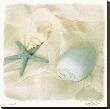 Shells I by Judy Mandolf Limited Edition Print