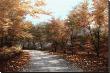 Maple Lane by Diane Romanello Limited Edition Pricing Art Print