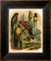 Tropical Birds Ii by Cassel Limited Edition Pricing Art Print