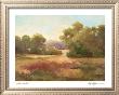 Golden Meadows by Alix Stefan Limited Edition Print