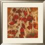 Organic Harmony I by Randy Hibberd Limited Edition Print