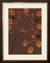 Terracotta Bubble Stem by Alan Buckle Limited Edition Pricing Art Print