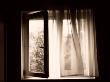 Mysterious Open Window by Ilona Wellmann Limited Edition Print