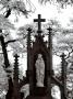 Cemetery Statue by Ilona Wellmann Limited Edition Print