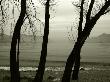 Misty Evening In Lago Maggiore, Italy, In Sepia by Ilona Wellmann Limited Edition Print