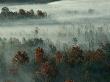 Mist Rises From The Ground On The Cumberland Plateau by Stephen Alvarez Limited Edition Pricing Art Print