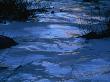 Frozen Stream In Hemis National Park by Steve Winter Limited Edition Print