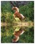 Myth by Stephanie Laird Limited Edition Print