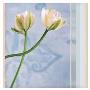 Tulip And Blue Tapestry Ii by Richard Sutton Limited Edition Pricing Art Print