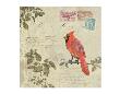 Birds 5 by Kurt Novak Limited Edition Pricing Art Print