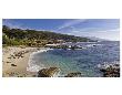 Mile Drive Monterey by Michael Polk Limited Edition Print