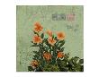 Orange Flowers by Kurt Novak Limited Edition Pricing Art Print