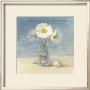 Daisies And Shells by Danhui Nai Limited Edition Pricing Art Print