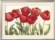 Ruby Tulips by Carol Rowan Limited Edition Print