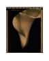 Calla I by Allan Baillie Limited Edition Print