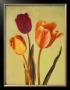 Concerto Verde I by Amy Melious Limited Edition Print