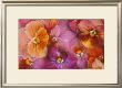 Sunset Pansies by Robin Constable Hanson Limited Edition Pricing Art Print