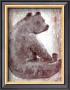 Bear by Silvana Crefcoeur Limited Edition Print