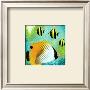 Fish A Go Go Ii by Jenny Morton Limited Edition Print