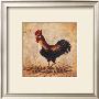 Country Rooster by Peggy Thatch Sibley Limited Edition Pricing Art Print