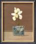 Orchids In Glass by Martha Decon Limited Edition Print