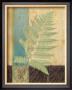 Fern Life I by Benny Diaz Limited Edition Print